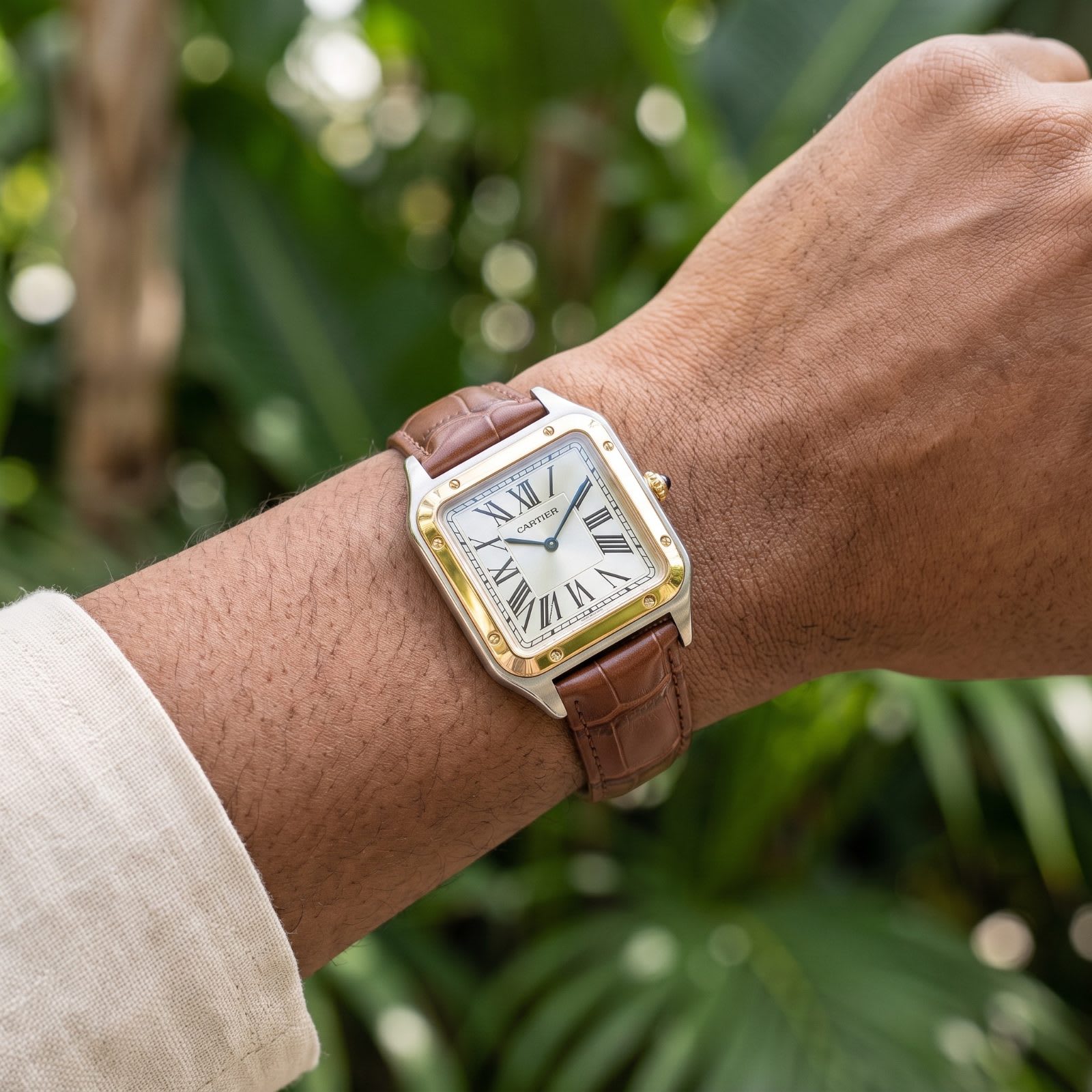 Cartier Santos-Dumont L-MIX-BRWN-W view 2