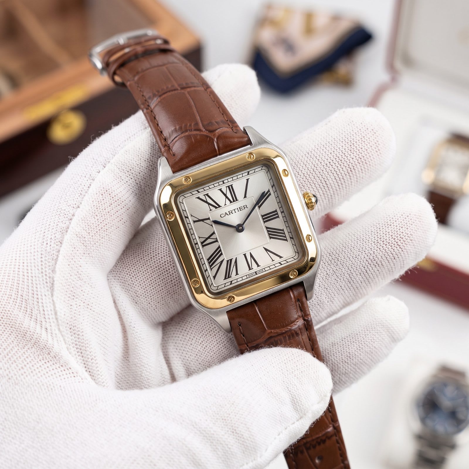 Cartier Santos-Dumont L-MIX-BRWN-W - view 1
